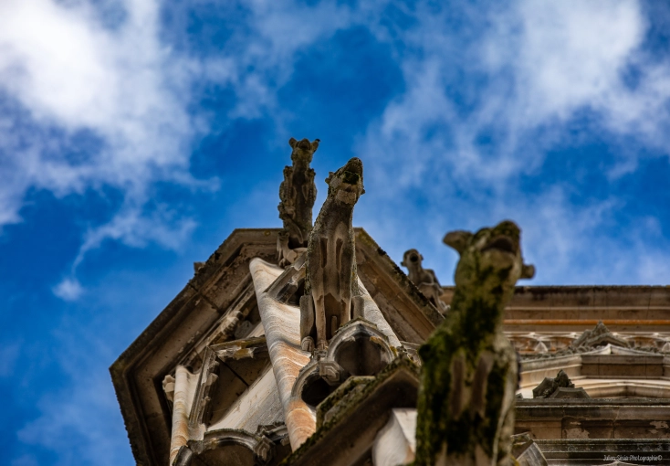 Real estate & Architectural