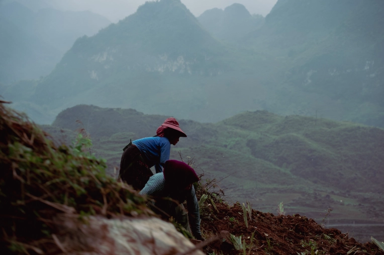 Photography, Photo retouching, Nature, Artistic