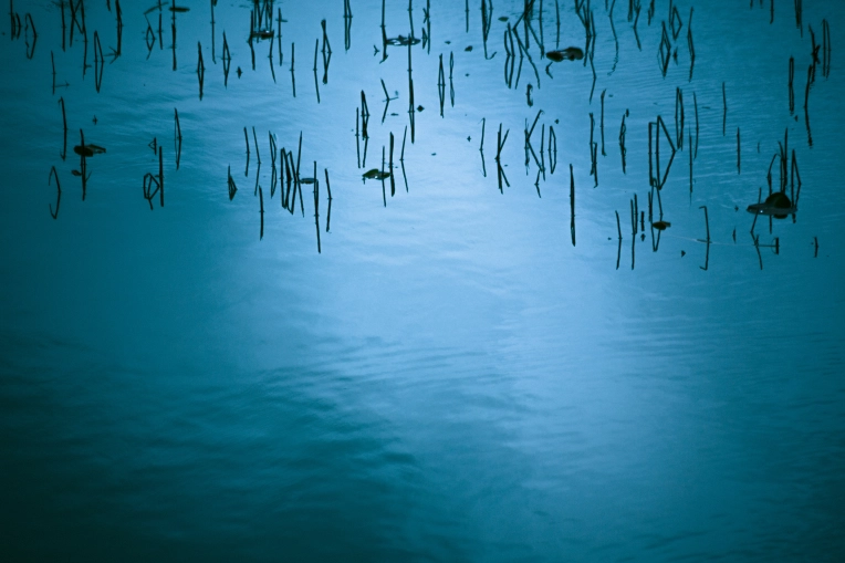 Photographie, Photothérapie, Artistique