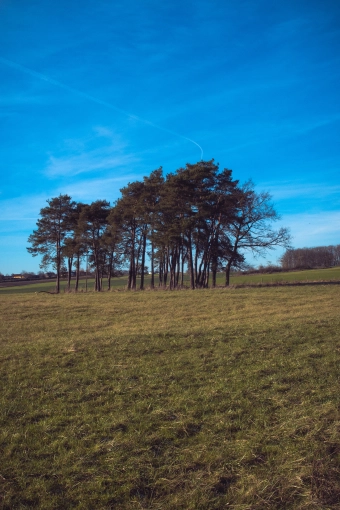 Photographie, Nature, Artistique, Traditionnel
