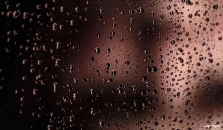 Photographie, Culinaire, Artistique