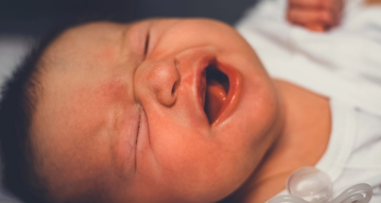 Photographie, Naissance, Lifestyle