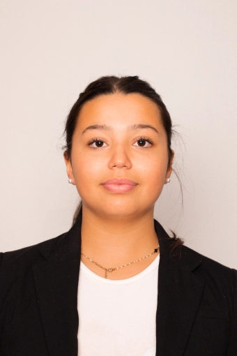 Photographie, Photo d'identité, Traditionnel