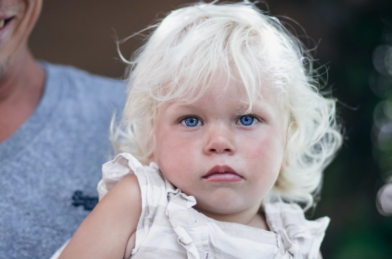 Photographie, Famille, Traditionnel