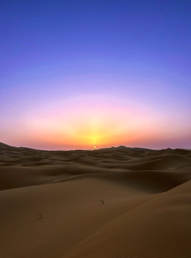 Photographie, Retouche photo, Nature, Artistique, Lifestyle