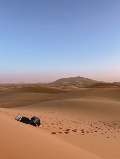 Photographie, Nature, Artistique