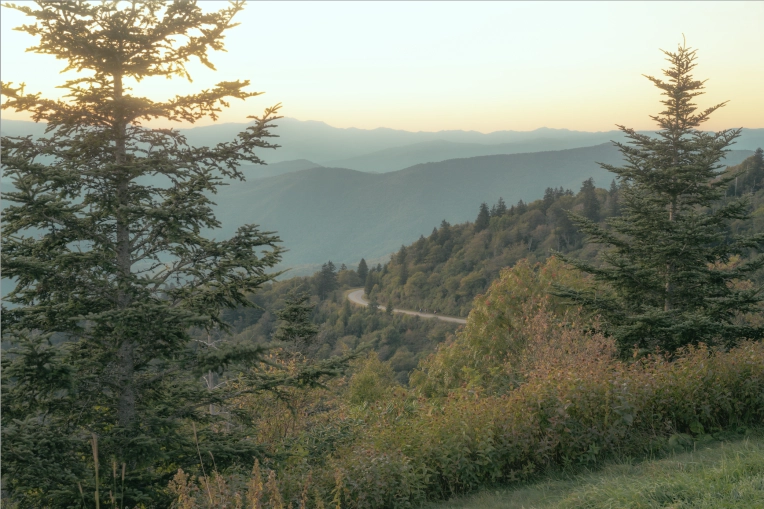 Photographie, Nature, Artistique