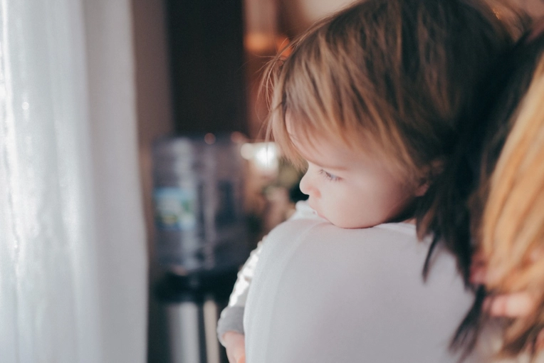 Photographie, Naissance, Traditionnel