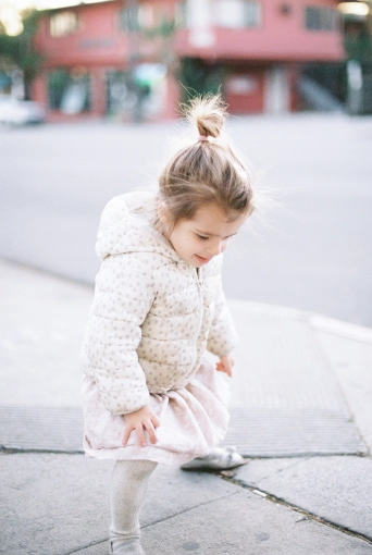 Photographie, Naissance, Traditionnel