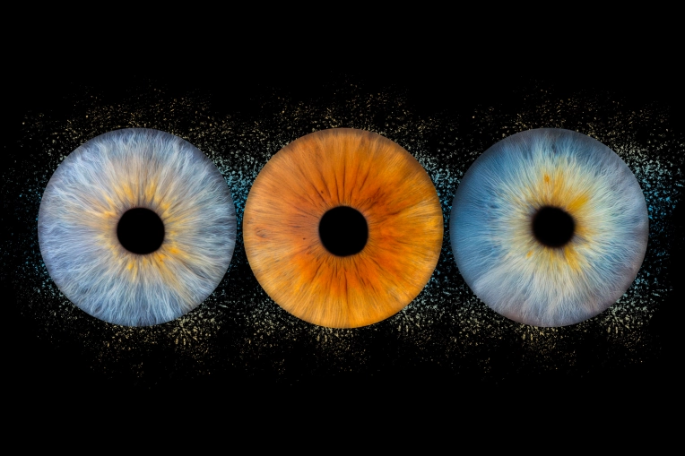 Photographie, Retouche photo, Iris, Artistique