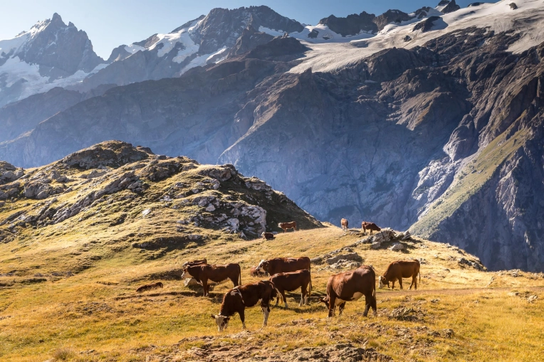 Photographie, Nature, Traditionnel
