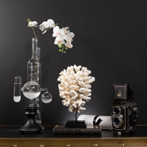 Photographie, Photo produit, Artistique