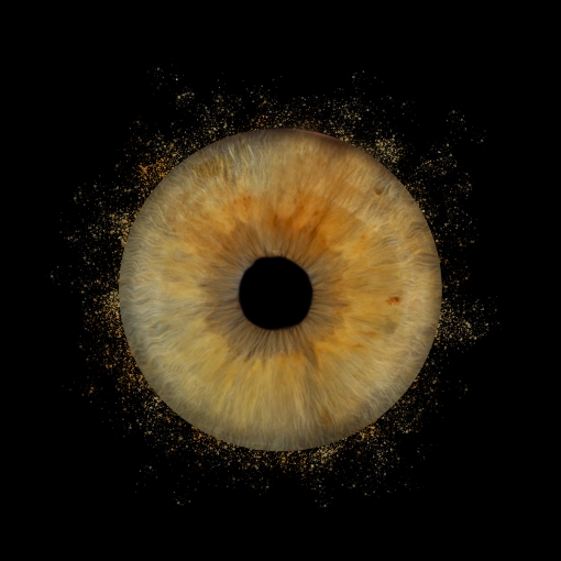 Photographie, Iris, Artistique