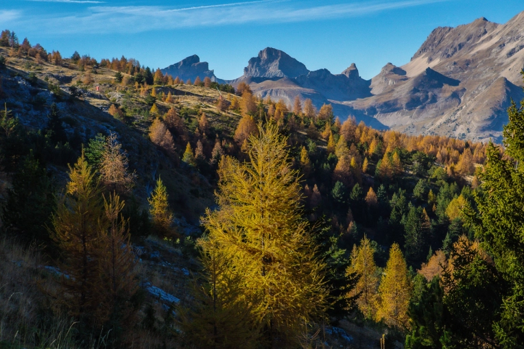Formation, Nature, Traditionnel