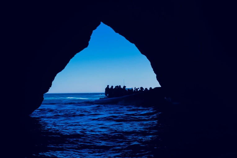 Photographie, Nature, Artistique