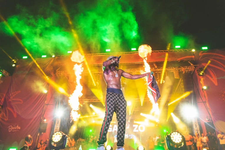 Photographie, Retouche photo, Evènement, Concert/Spectacle