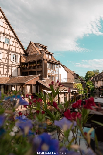 Photographie, Retouche photo, Nature