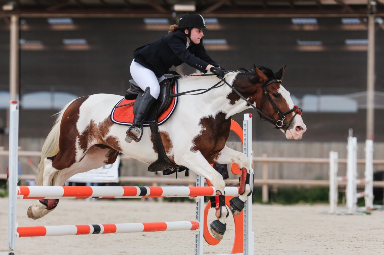 Photography, Photo retouching, Pets, Lifestyle