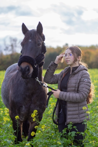Photographie, Retouche photo, Animal de compagnie, Artistique, Lifestyle