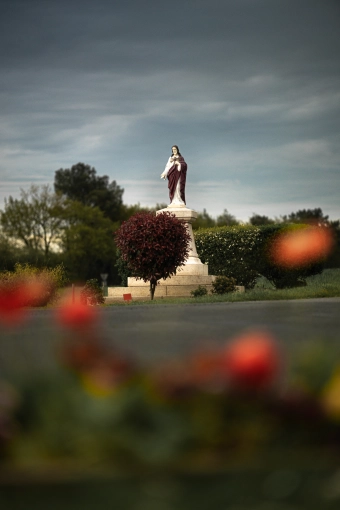 Photographie, Nature, Artistique