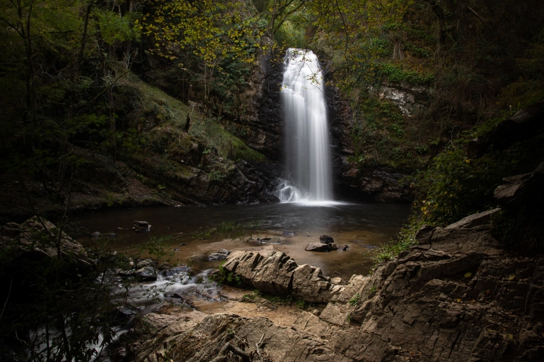 Photographie, Nature, Artistique, Traditionnel