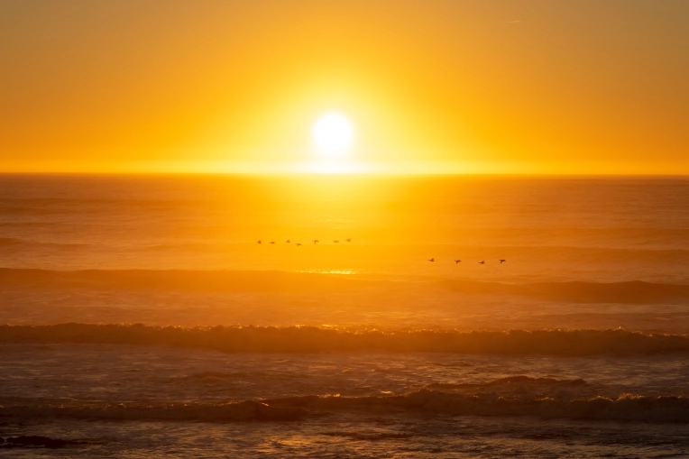 Photographie, Nature, Artistique