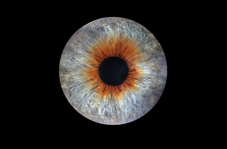 Photographie, Retouche photo, Evènement, Concert/Spectacle, Conférence / Salon, Artistique