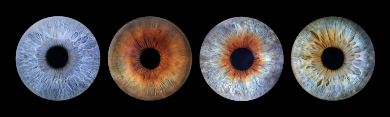 Photographie, Retouche photo, Iris, Artistique