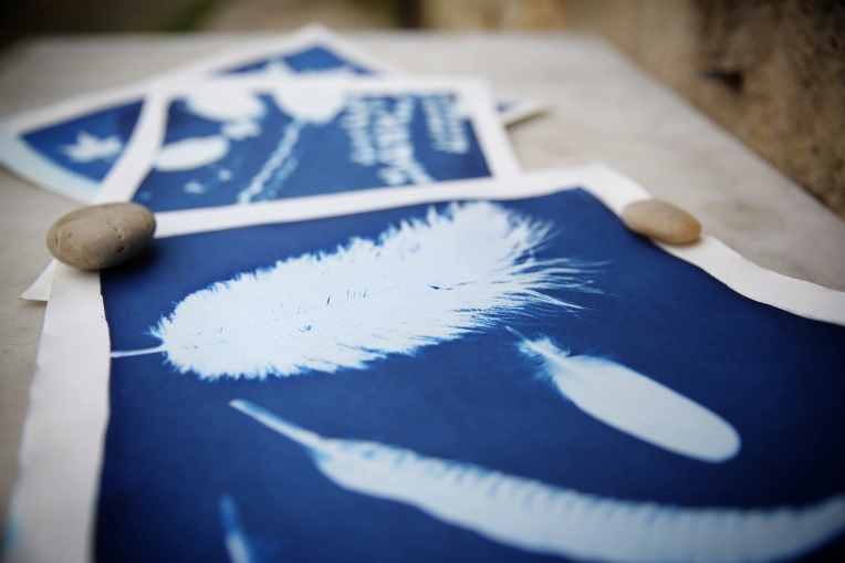 Photographie, Retouche photo, Photothérapie, Artistique, Lifestyle