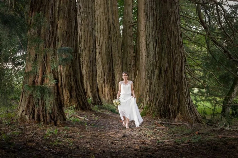 Photographie, Corporate, Artistique