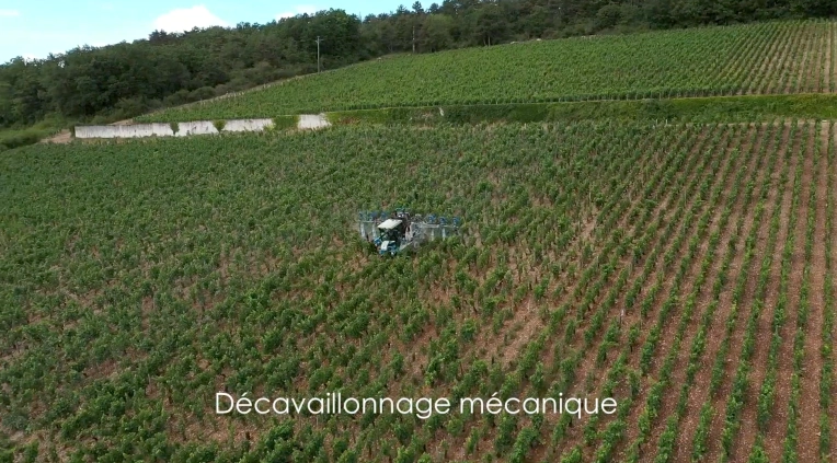 Photographie, Vidéo et montage, Drone, Industrielle, Corporate, Traditionnel