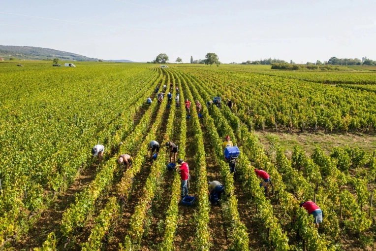 Photographie, Vidéo et montage, Drone, Industrielle, Corporate, Traditionnel