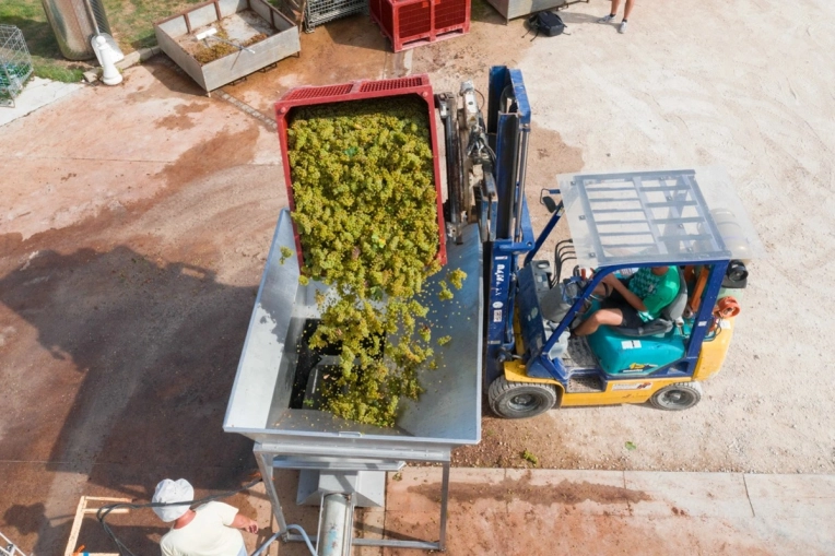 Photographie, Vidéo et montage, Drone, Industrielle, Corporate, Traditionnel