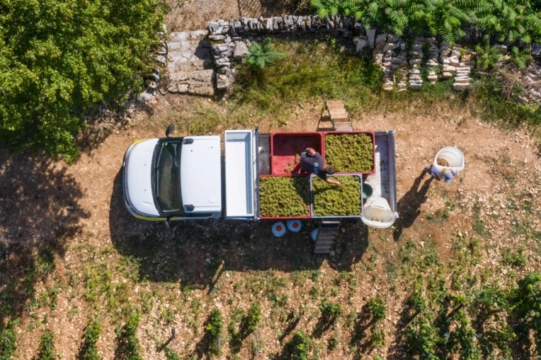 Photographie, Vidéo et montage, Drone, Industrielle, Corporate, Traditionnel