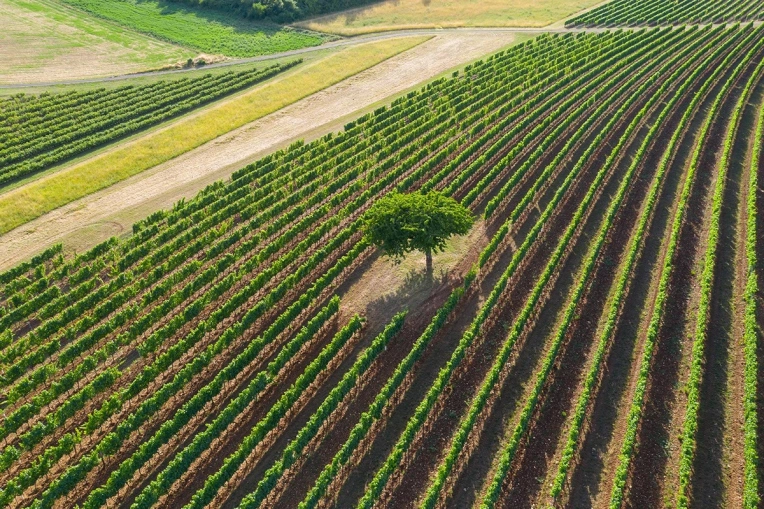 Photographie, Vidéo et montage, Drone, Nature, Traditionnel