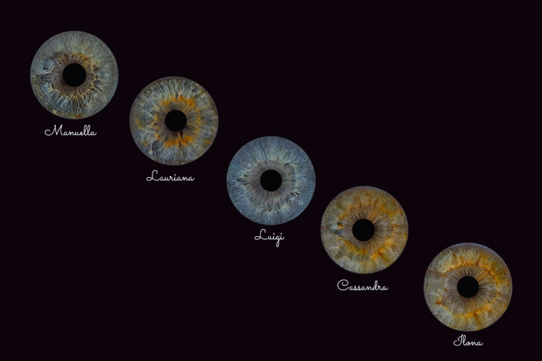 Photographie, Iris, Artistique