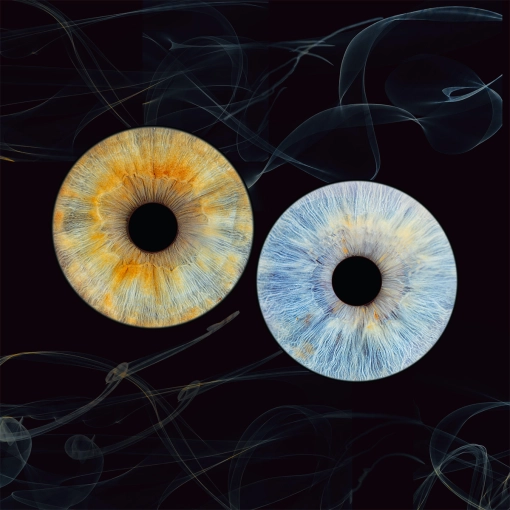 Photographie, Iris, Artistique