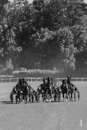 Photographie, Sport, Artistique