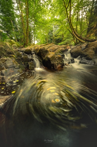 Photographie, Nature, Artistique