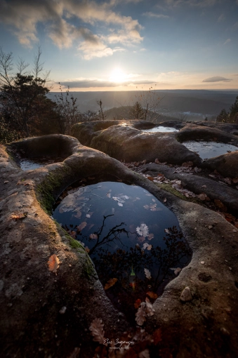 Photographie, Nature, Artistique