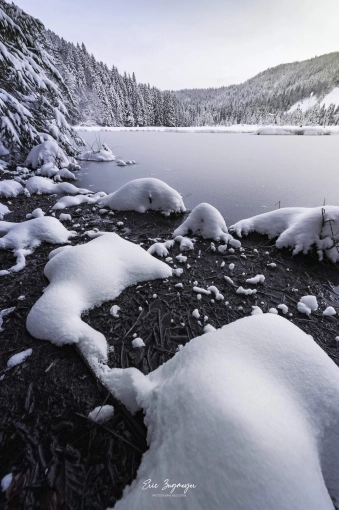 Photographie, Nature, Artistique