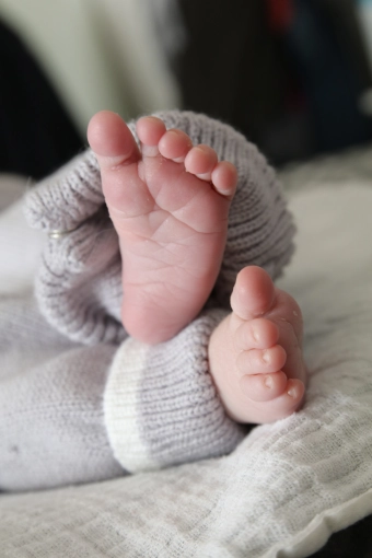 Photographie, Famille, Traditionnel