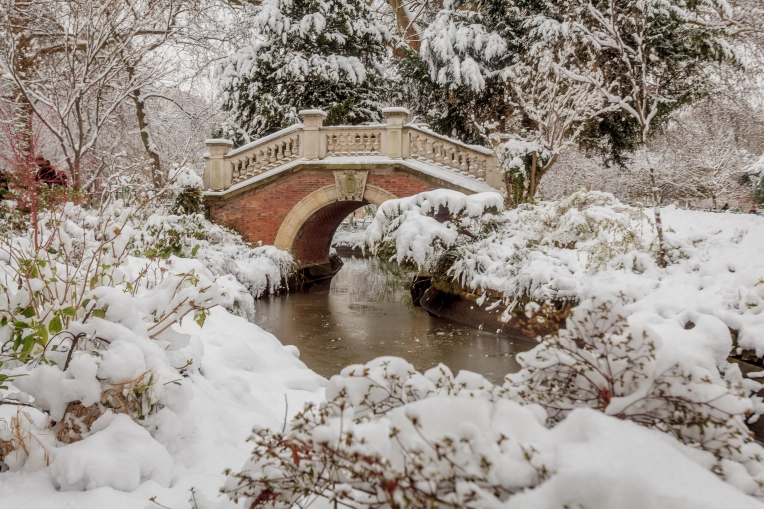 Photographie, Retouche photo, Vidéo et montage, Drone, Nature, IA générative, Artistique, Traditionnel, Lifestyle