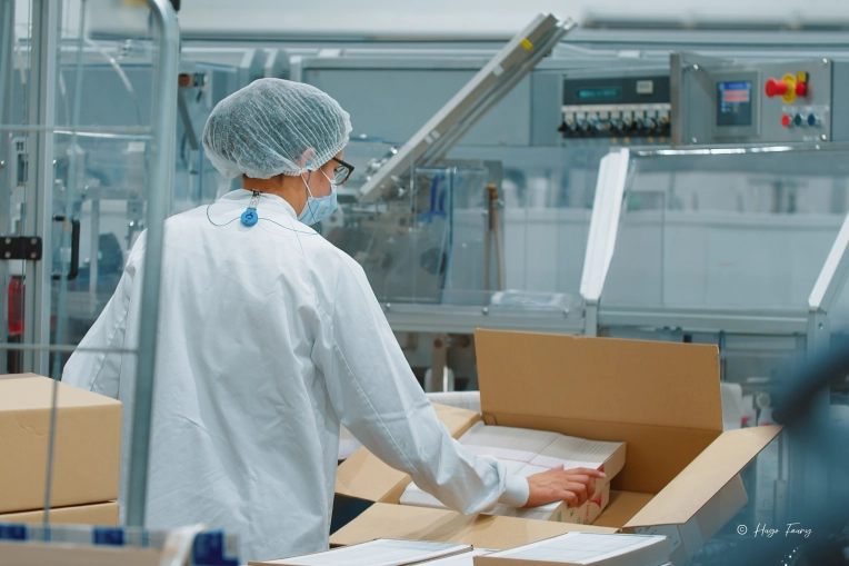 Photography, Photo retouching, Video / Video Editing, Industrial, Traditional