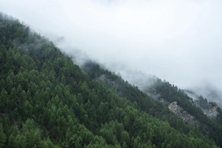 Photographie, Nature, Traditionnel