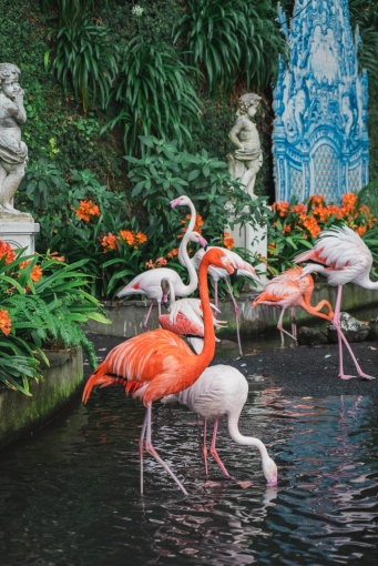 Photographie, Nature, Traditionnel