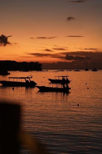 Photography, Photo retouching, Nature, Traditional, Lifestyle