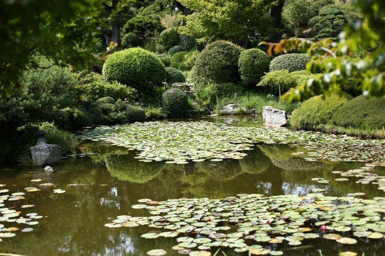 Photographie, Nature