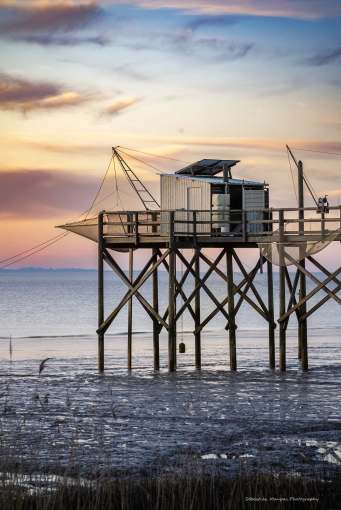 Photography, Nature, Lifestyle