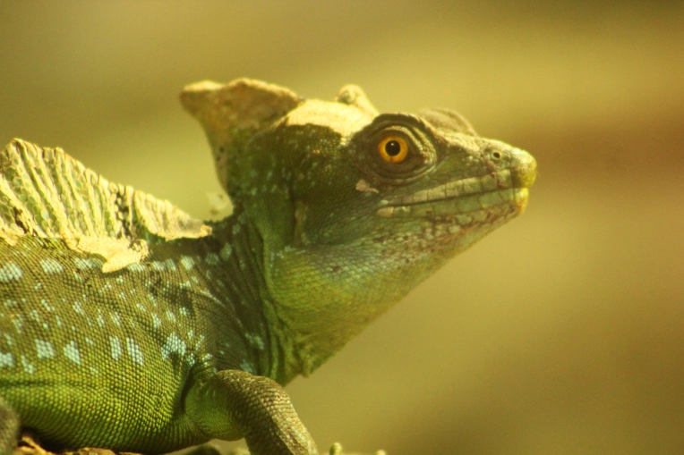 Photography, Photo retouching, Nature, Artistic